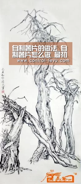 自制薯片的做法_自制薯片怎么做_最初的最美❤的菜谱“乐鱼官网登录”(图3) 乐鱼app
