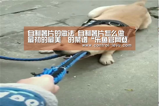 自制薯片的做法_自制薯片怎么做_最初的最美❤的菜谱“乐鱼官网登录”(图1) Leyu体育官方平台